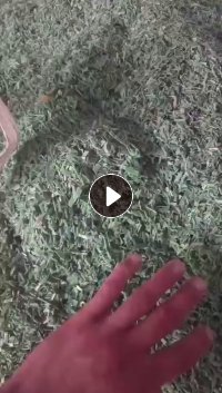 PET聚酯打包带破碎料出售