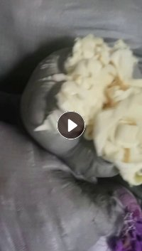 涤纶三色料，涤纶拉丝料，涤纶浅色拉丝料，涤纶废布，长期大量出售