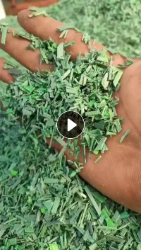 干粉PET聚酯打包带粉碎料，长期出售