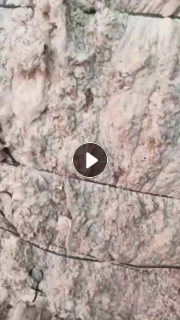 涤棉车肚长期供应，90棉10涤，现货够车