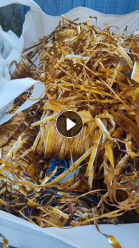 PI膜废料出售，现货9吨。含铝量52-55