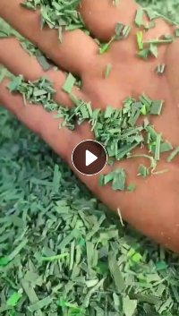 PET聚酯打包带破碎料出售，现货4.2米一车