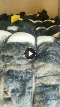 纯黑工业丝,纯干的,黑色涤纶工业丝,出售