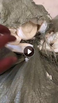 卫生纸切边料大量求购