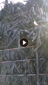 滴灌带压块，现货50吨，长期出售