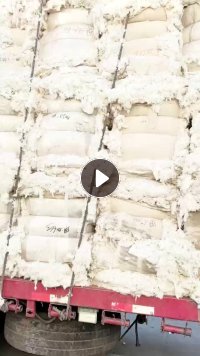 纯巴西棉精梳60支好车肚,大量出售