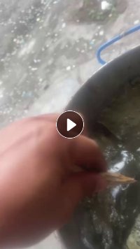 出售家具厂胶，可做沙发喷胶粘海绵用