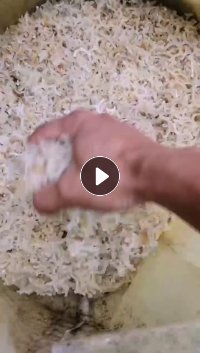 PE纯原生鸡网子料出售，现货20吨，月供70多吨