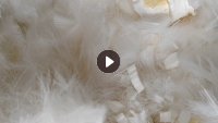 纯白色PBT废丝,长期大量出售