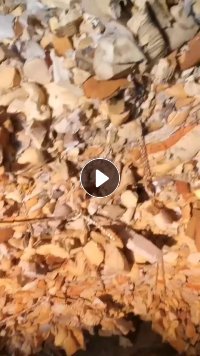 汽车坐垫海绵，大量出售