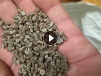 尼龙脱模布颗粒，常年出售