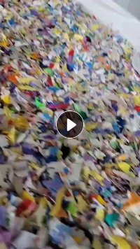 花乙破碎料，清洗甩干，未过风选，现货够车出售