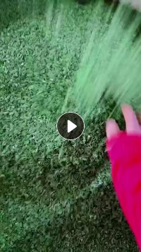 PET绿色打包带破碎料长期出售，月供几百吨