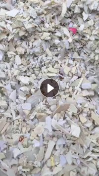 PP白丙破碎料长期出售，月供20吨