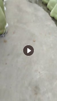涤纶水丝,涤纶长丝,含20水分,现货百来吨,长期出售