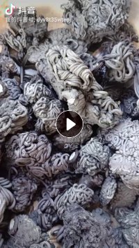 带磁性的尼龙颗粒,尼龙废料,长期大量回收