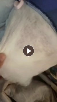 腈纶棉出售，干净无杂现货9.6米一车