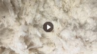 常年大量收车肚花,纯大花纯棉涤棉车肚