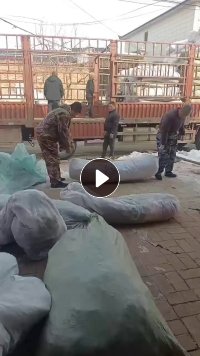 两面全毛碎布通货长期大量出售