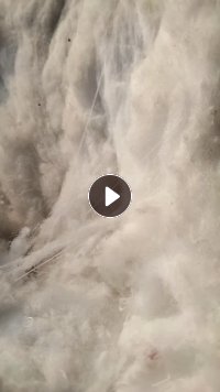 高弹丝开花棉，做被子用，大量出售