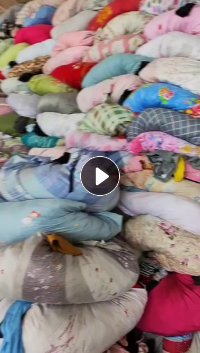 夏装B货9.6米一车低价出售