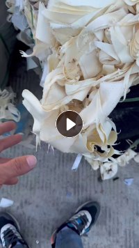 服装厂下来的浅色涤棉下脚料十几吨出售