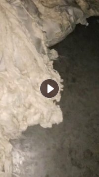 自落精梳纯棉长期供应，现货够车