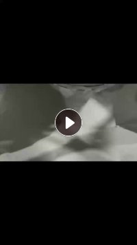 纯白高分子，出售