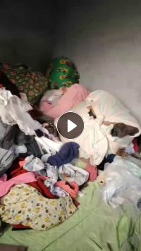 长期供应旧衣服分拣货夏装现在包包等