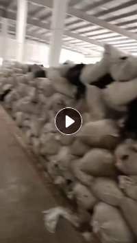 涤纶废丝，锦纶废丝，长期大量出售