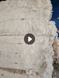 纯棉40支好车肚出售，价格便宜