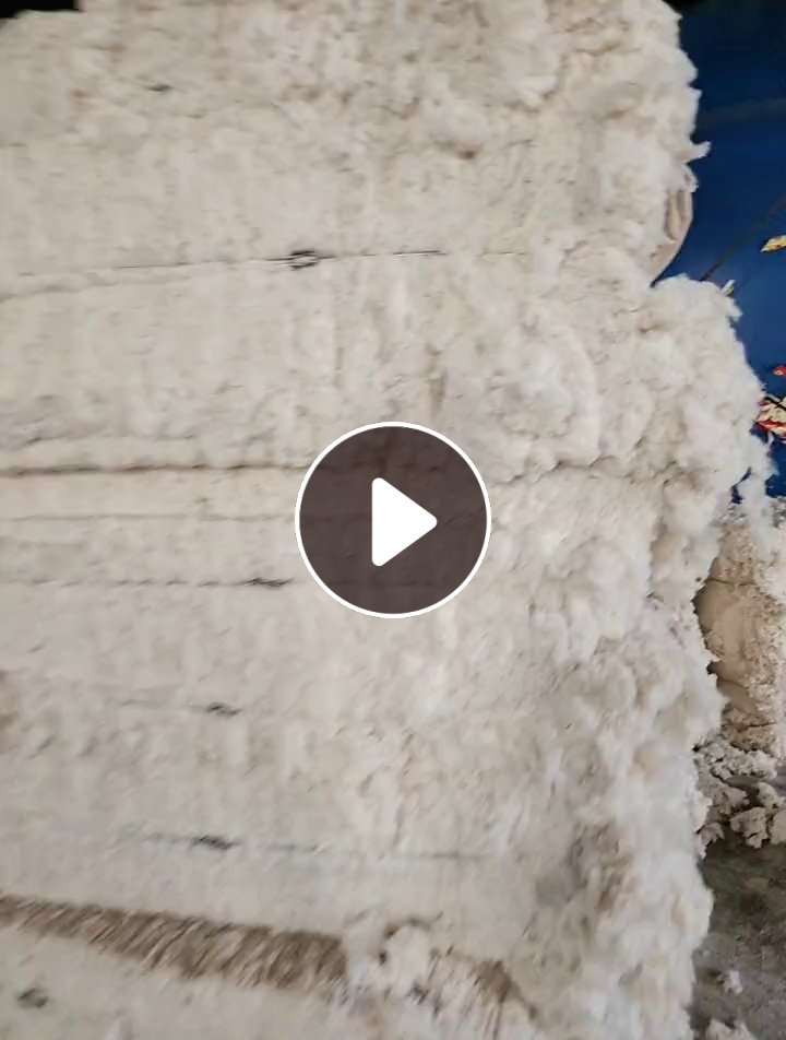纯棉40支好车肚出售，价格便宜