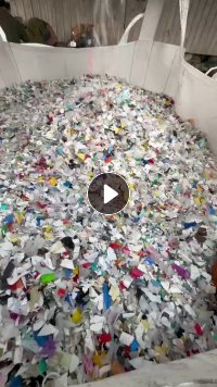 纯漂、风选、上机料的大小白料，现货一车，当花乙价处理掉