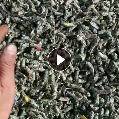 纸厂全漂毛毛虫颗粒长期出售 ，月供近2000吨 