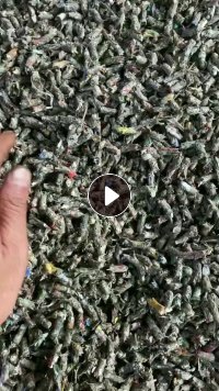 纸厂全漂毛毛虫颗粒长期出售 ,月供近2000吨