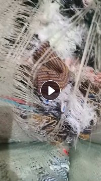 杂色毛衣下来的低弹丝大量供应，优质无纺布原料