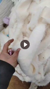 大量出售毛绒玩具下脚料，涤纶下脚料，月供80-100吨，白色，浅色为主