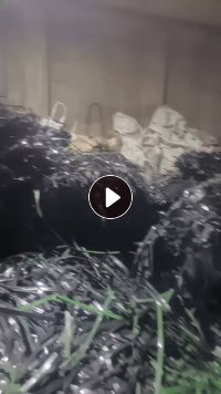 PET打包带绿色,黑色,大量回收
