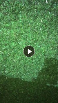 PET打包带水粉破碎料长期出售，月供140吨 