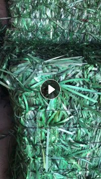 PET打包带毛料，现货一挂车（其中杂色4个包），长期出售