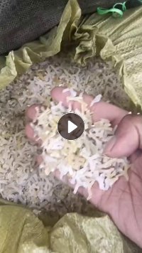 纯原生鸡网子料