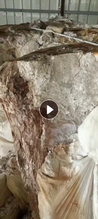 涤纶毛毛粉尘，大量回收