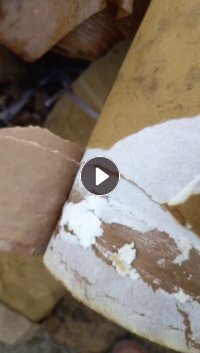 出售海棉厂下来的废牛皮纸