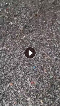 长期出售炉渣厂下来的火烧铁粉,小碎铁多