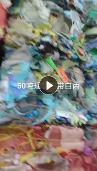 PP分色丙压块长期出售，现货50吨 