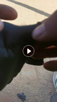 出售各种黑色开花料化纤料，现货几十吨