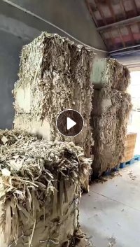 长期出售无膜竹浆纸边