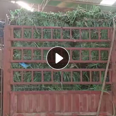 回收绿色打包带，黑色打包带压块