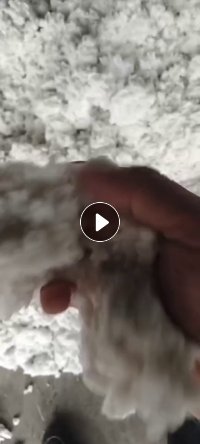 长期供应吹毛下来的化纤棉再生棉，白、灰、黑色都有，月供500吨