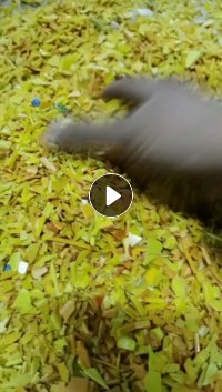 长期出售黄色水果筐破碎料